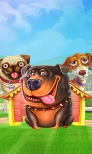 The Dog House