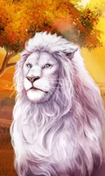 Book Of Majestic King